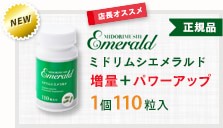 ミドリムシエメラルド